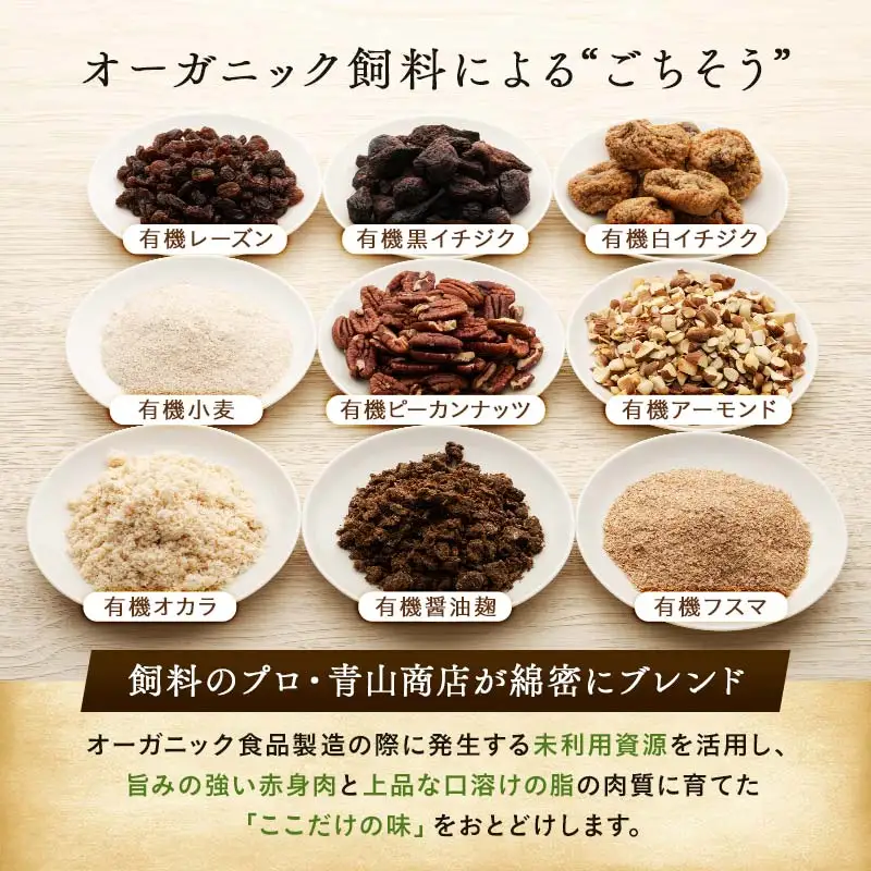 生ハンバーグ120g×12枚 釧路生まれ、釧路育ちのオーガニックビーフ 牛肉 ハンバーグ 国産 牛 肉 お肉 個包装 牛肉 おかず お弁当 北海道 F4F-3500