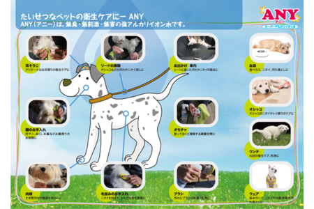 スーパーアルカリイオン水 ANY(アニー) 消臭 詰め替え用 2L   詰め替え用 洗浄除菌水 消臭 無臭 ペットの衛生ケア お掃除 広島県 呉市 ku151-002-r