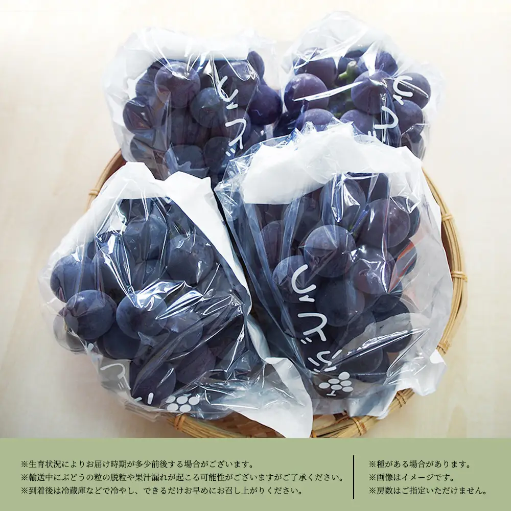 紀州和歌山産 ピオーネ 約2kg ※2026年8月下旬頃〜2026年9月下旬頃に順次発送 ※日付指定不可 ぶどう ブドウ 葡萄 果物 くだもの フルーツ【uot781】