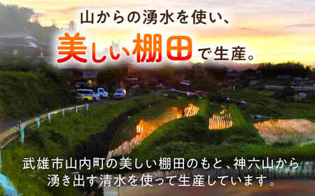 【6回定期便】古代米 黒米 4袋 /永尾 忠則 [UAS018] 雑穀 雑穀米
