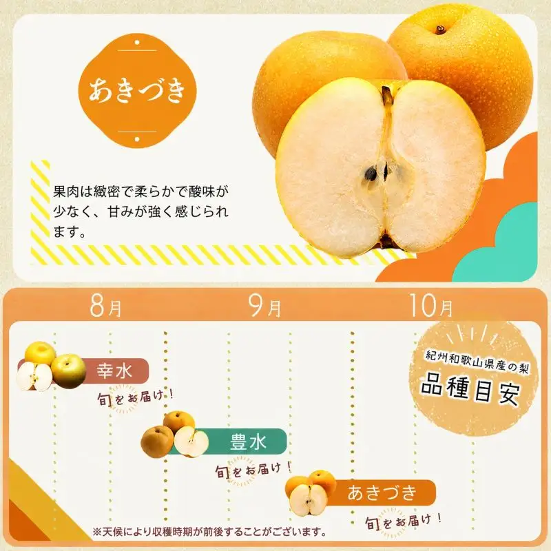 紀州和歌山産の梨 3玉 化粧箱入 ※2026年8月中旬頃～2026年9月上旬頃に順次発送 ※日付指定不可 梨 なし ナシ 果物 くだもの フルーツ 甘い【uot787】