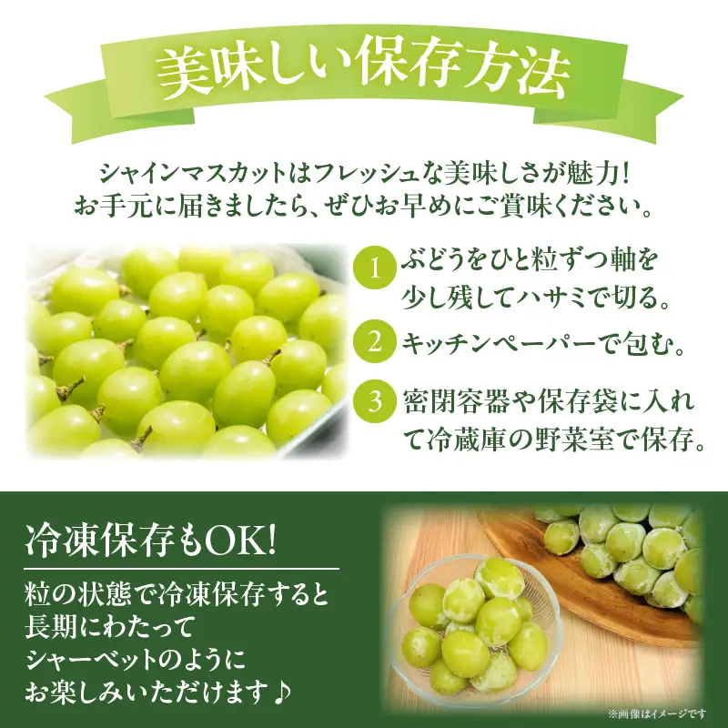 先行予約≪期間限定≫都農町産シャインマスカット(計2kg) ぶどう 果物 国産_T010-0015