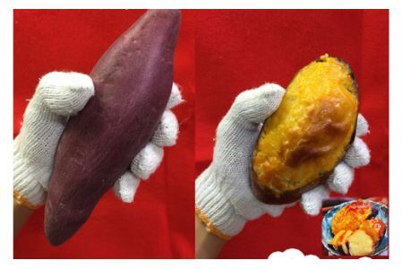 [和菓子屋がスイートポテト焼いちゃいました] ぽてっとな！250g×3個 [御菓子司つくし] [0835]