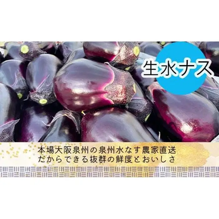 水なす丸漬塩味２個＋生水なす２個