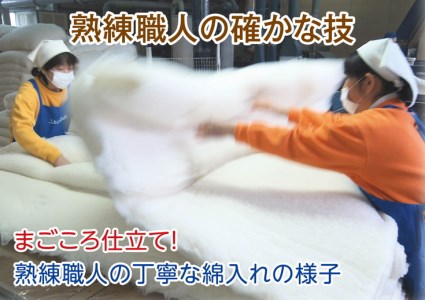 コットンの王様・エジプト綿入り「究極の掛ふとん」（ローズピンク）【CW25W】