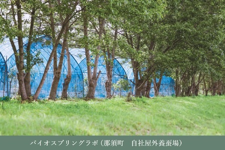 PALELINO ロディニアシルクスキンケア美容液30mL＋化粧水[トライアル30mL、約20日分]セット 化粧水 美容液 保湿 うるおい スキンケア 化粧品 コスメ ふるさと納税 栃木県 那須町〔P-118〕