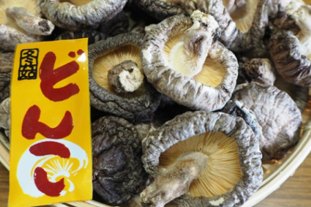 こだわりの原木栽培・特選くにさき乾椎茸/どんこ280g_0815Z