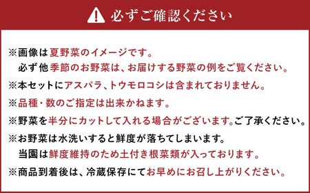 【3ヶ月定期便】有機JAS認定 季節の野菜詰め合わせ ～有機野菜セットC～