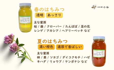 ハチミツ屋小谷 はちみつ 春セット／ 百花蜜 国産 純粋 蜂蜜 ハチミツ ハニー 非加熱 無精製 贈答用 贈り物 奈良県 宇陀市 ふるさと納税