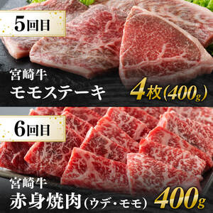 【6ヶ月定期便】宮崎牛定期便B（ ステーキ ・ 焼肉 ） 全6回【 肉 牛肉 国産 宮崎県産 宮崎牛 黒毛和牛 和牛 ステーキ 焼肉 4等級 A4ランク 】
