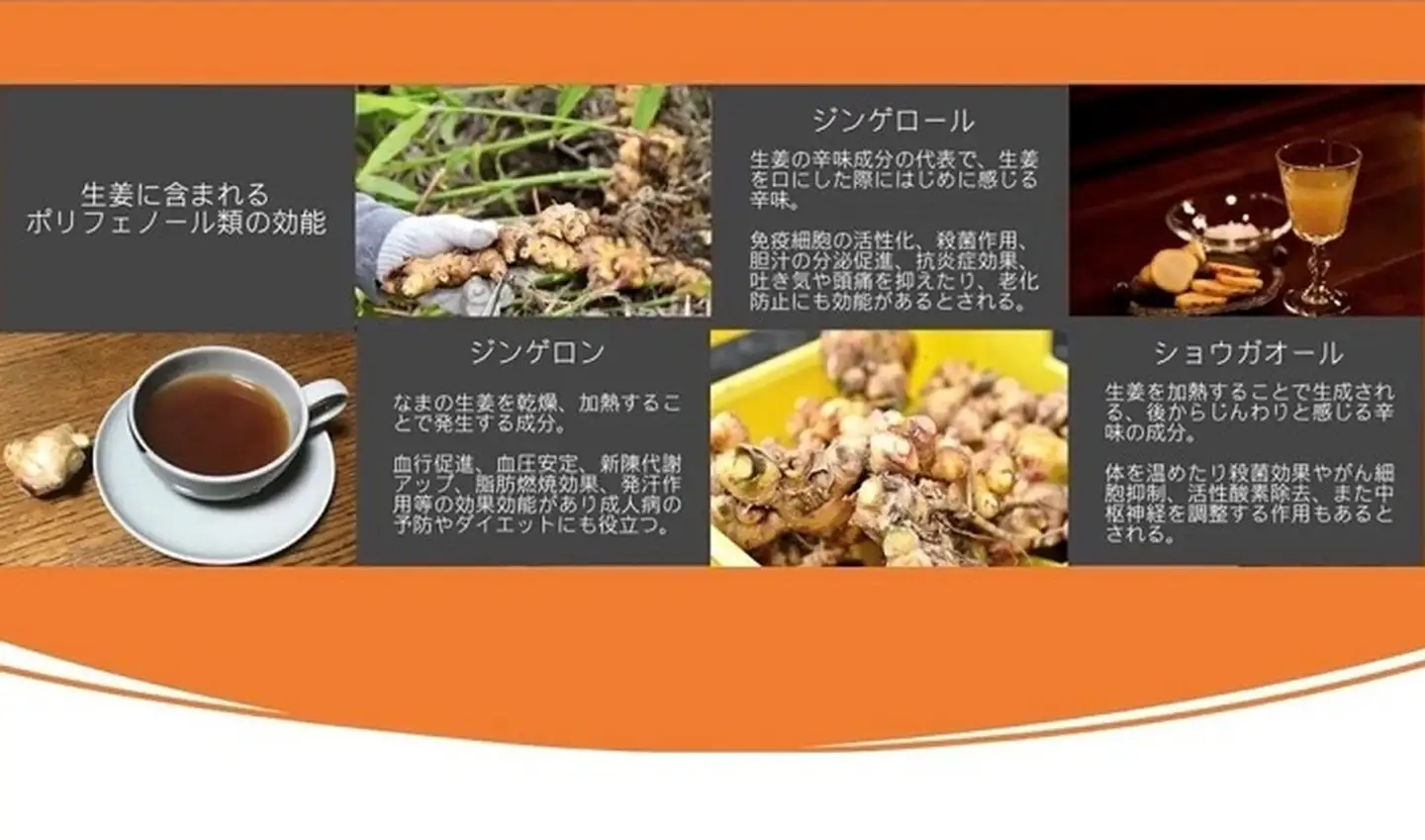蒸し生姜シロップ＆濃味セット 栽培期間中農薬不使用で自然な美味しさ：B150-040