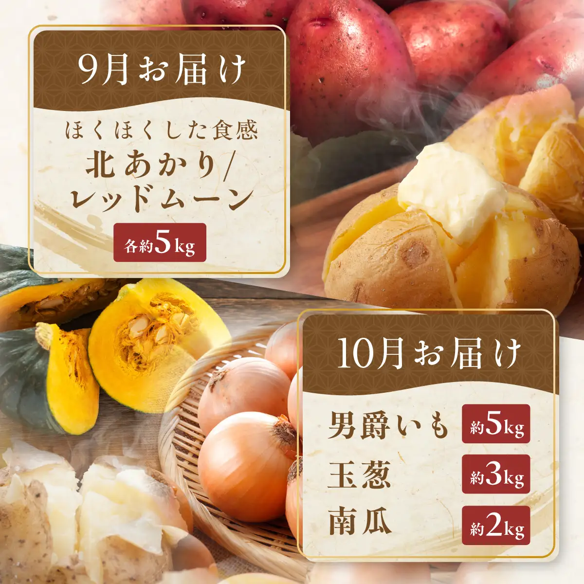 【定期便6回】網走美味農産物定期便「年6回お届け」（網走加工） ABAO1026