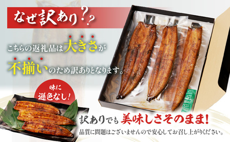 うなぎ 蒲焼 うなぎ[国産 訳あり 3尾 高須水産 備長炭手焼き 620g]