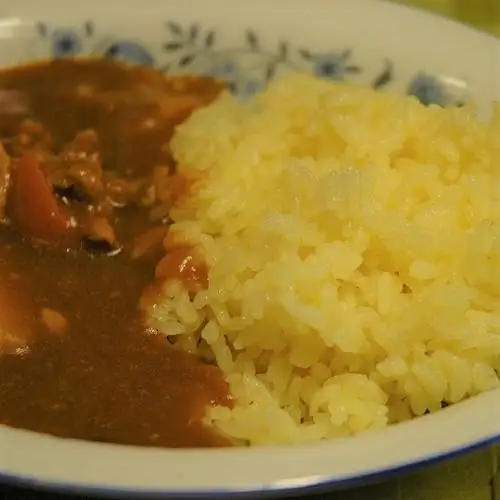 屋久島の恵 ターメリック 100g×1袋（粉末タイプ）