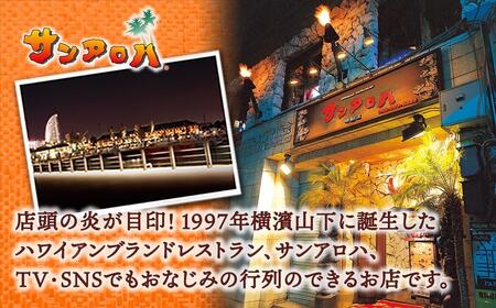 サンアロハ「ハマカレーR　ビーフ　6個パック」 AJE0001