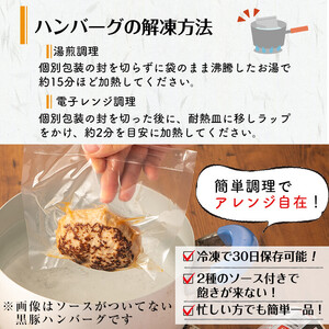 鹿児島県黒豚 100%使用 黒豚ハンバーグ(デミグラス＆トマト)＜計1.1kg以上・140g×8個＞ a1-097