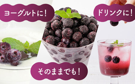先行予約 【12回定期便】大粒 冷凍ブルーベリー 約1000g（約500g×2pc）【すみれファーム】果物 フルーツ くだもの 大粒 小分け 熊本県産ブルーベリー [ZEP012]