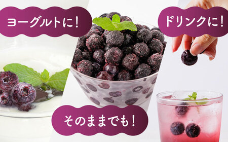 先行予約 【6回定期便】大粒 冷凍ブルーベリー 約1500g（約500g×3pc）【すみれファーム】果物 フルーツ くだもの 大粒 小分け 熊本県産ブルーベリー [ZEP014]