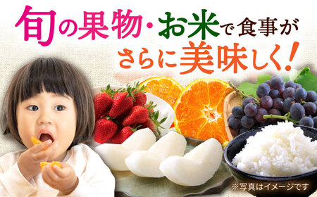 【5回定期便】厳選フルーツ＆旬のお米定期便（ いちご ぶどう 梨 お米 みかん ）/ 果物定期便 果物 お米 米 フルーツ定期便 フルーツ 定期 / 大村市 / おおむら夢ファームシュシュ[ACAA082]
