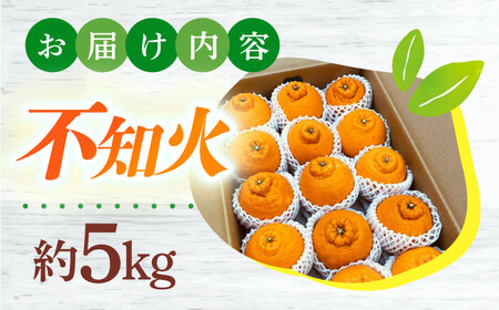 【2026年4月中旬発送開始】長崎県産 不知火 約5kg / 不知火 しらぬい 果物 フルーツ 柑橘 デコポン でこぽん 柑橘 みかん 産地直送  季節 / 大村市 / かとりストアー[ACAN005]