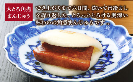 【全6回定期便】角煮まんじゅう 月替2種セット 角煮10・大とろ10 [DBG064]  角煮まんじゅう