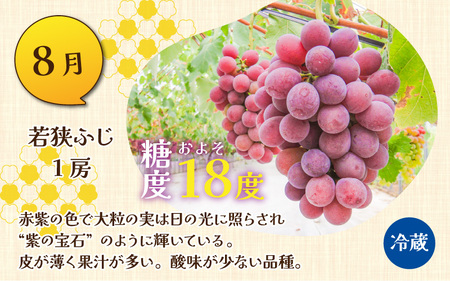 【旬の4回定期便】福井県高浜町の美味しいもん 定期便【旬の時期にお届け】 頒布会 ごちそう