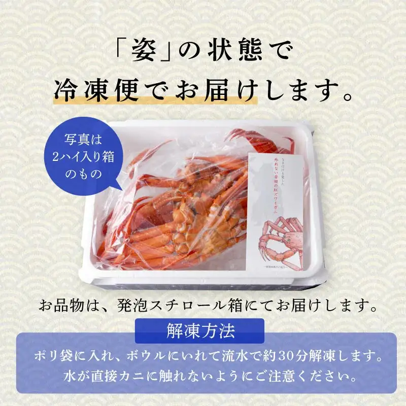 紅ズワイガニ 冷凍 2匹 1.0kg【安田水産】