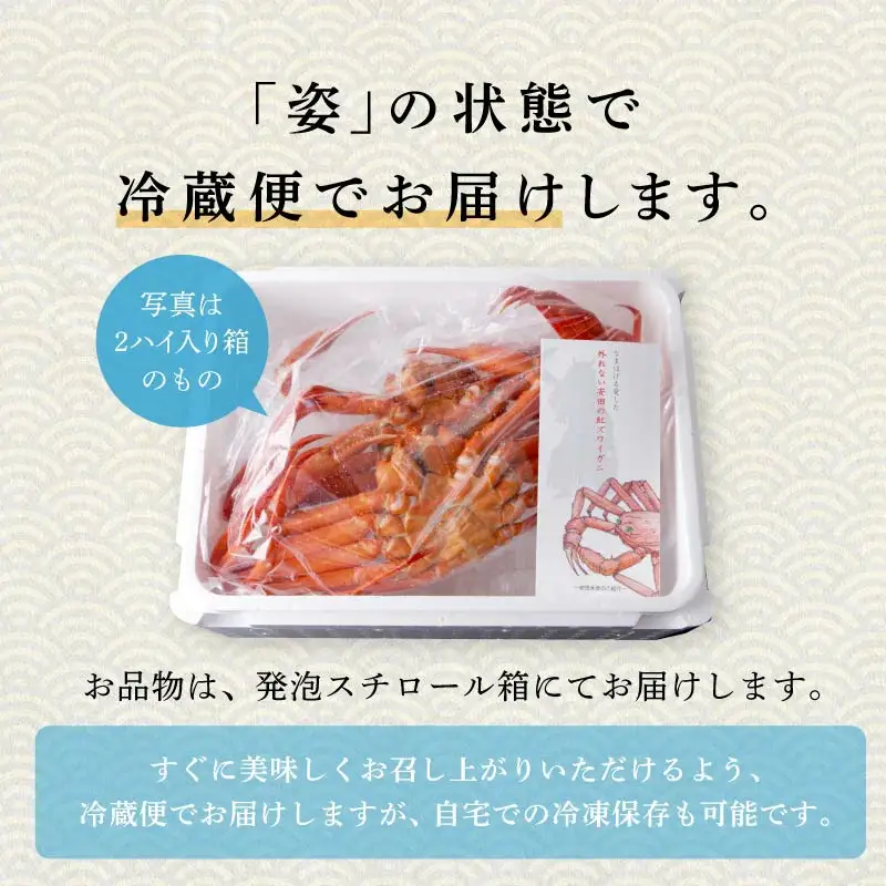 紅ズワイガニ 冷蔵 2匹 1.2kg【安田水産】