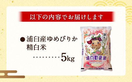 〈令和7年産〉浦臼産 ゆめぴりか 精白米 5kg×1袋 【2026年1月下旬-8月下旬迄順次発送予定】 米 お米 ブランド米 北海道産 北海道 浦臼町