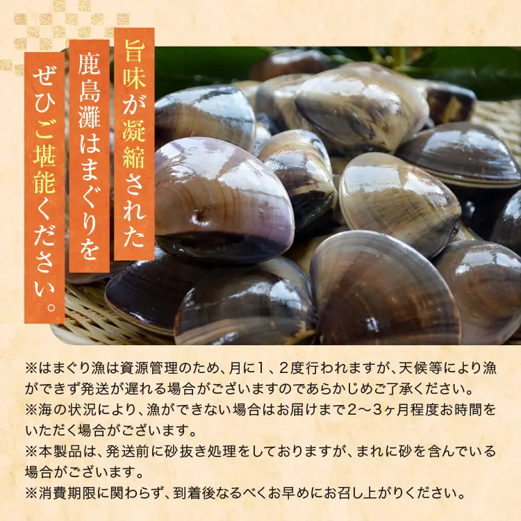 大洗産鹿島灘天然はまぐり 2㎏ 冷蔵 ハマグリ 蛤 貝 砂抜き処理 大洗産 天然 はまぐり_BQ008