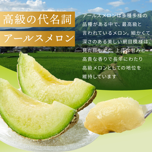 メロン 2玉 肥後グリーン or アールスメロン |  メロン 果物 フルーツ めろん マスクメロン 熊本県 玉名市