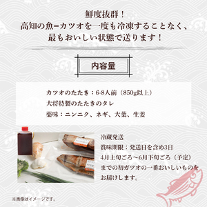 初ガツオ かつおのたたき 6-8人前 鰹 かつおのたたき 鰹 ／Efs-12