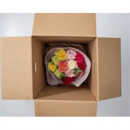 ホシファーム　フリルブーケ　カラフル　12本_花・観葉植物  花 _【配送不可地域：離島】【1465232】