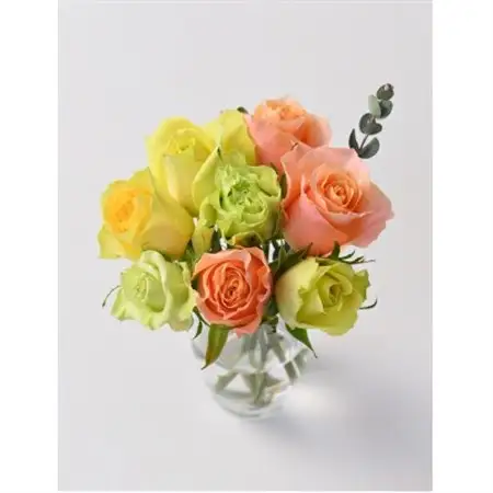 ホシファーム  フリルブーケ　パッション　8本_花・観葉植物  花 _【配送不可地域：離島】【1465243】