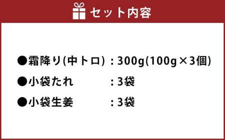 熊本 馬刺し 霜降り(中トロ) 300g 小袋たれ 小袋生姜付き 