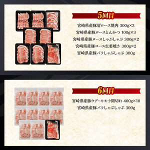 【訳あり定期便】宮崎県産豚肉お楽しみセット6ヶ月定期便 ミヤチク 6回お届け 豚肉