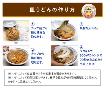 レトルト皿うどん6食 レトルト 皿うどん 【B0-233】
