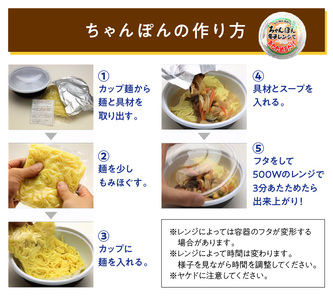 レトルトちゃんぽん6食( レトルト ちゃんぽん チャンポン 簡単調理 詰め合わせ レンチン )【B0-234】