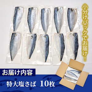 特大塩さば(10枚) 鯖 サバ 焼き魚 簡単 時短 おかず お弁当 国産 冷凍 宮崎県 門川町【AW-35】【丸正水産】