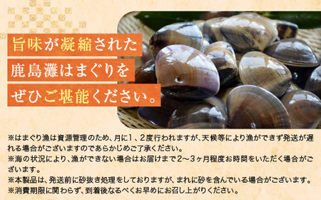 大洗産鹿島灘天然はまぐり 3㎏ 冷蔵 お吸い物 ハマグリ 蛤 貝 砂抜き処理 魚介類 大洗産 天然 はまぐり_BQ013