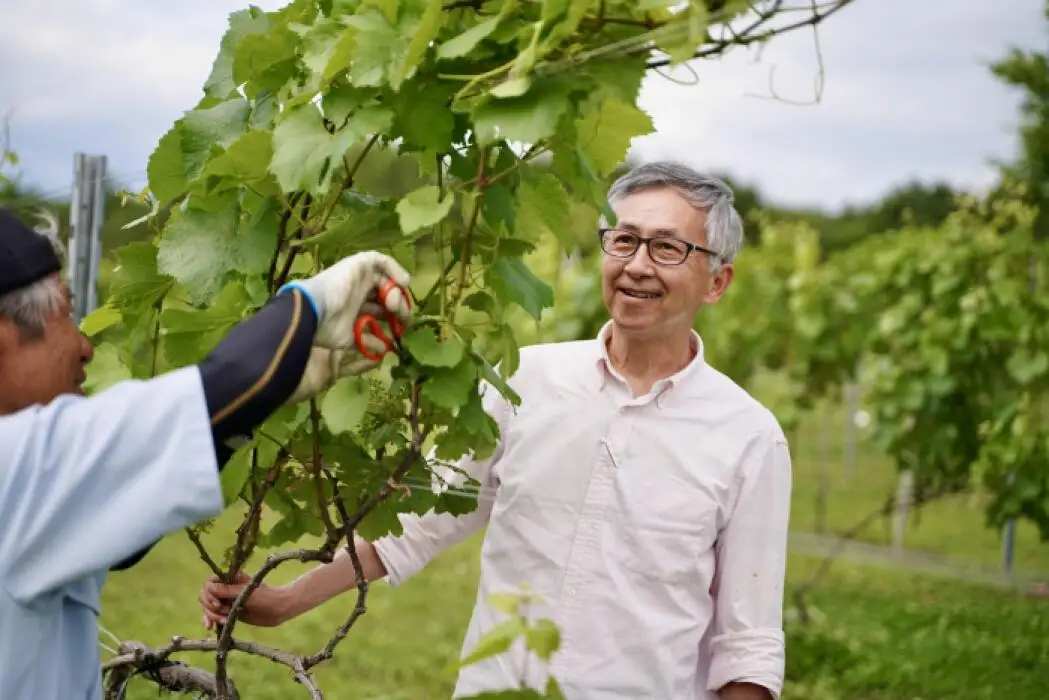 福島の恵み 喜多方シードルとワイン（Aセット） シードル マスカットベイリー 750ｍｌ 各１本 計２本 ギフト お土産【07208-0099】