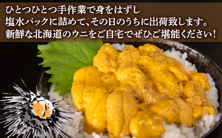 【令和8年度発送先行予約】うに 塩水 ムラサキウニ 80g×2パック 北海道 豊浦 噴火湾 雲丹【配送不可地域：離島】 