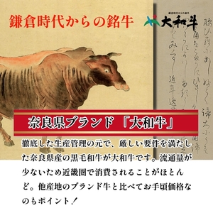 （冷凍） 大和牛 ステーキ サーロイン (250g×5枚) ／ 金井畜産 焼肉 キャンプ バーベキュー アウトドア 贈答 父の日 母の日 奈良県 宇陀市 お中元 贈答用 贈り物 暑中見舞い お土産 お歳暮 内祝い 美味しい部位 送料無料 ふるさと納税