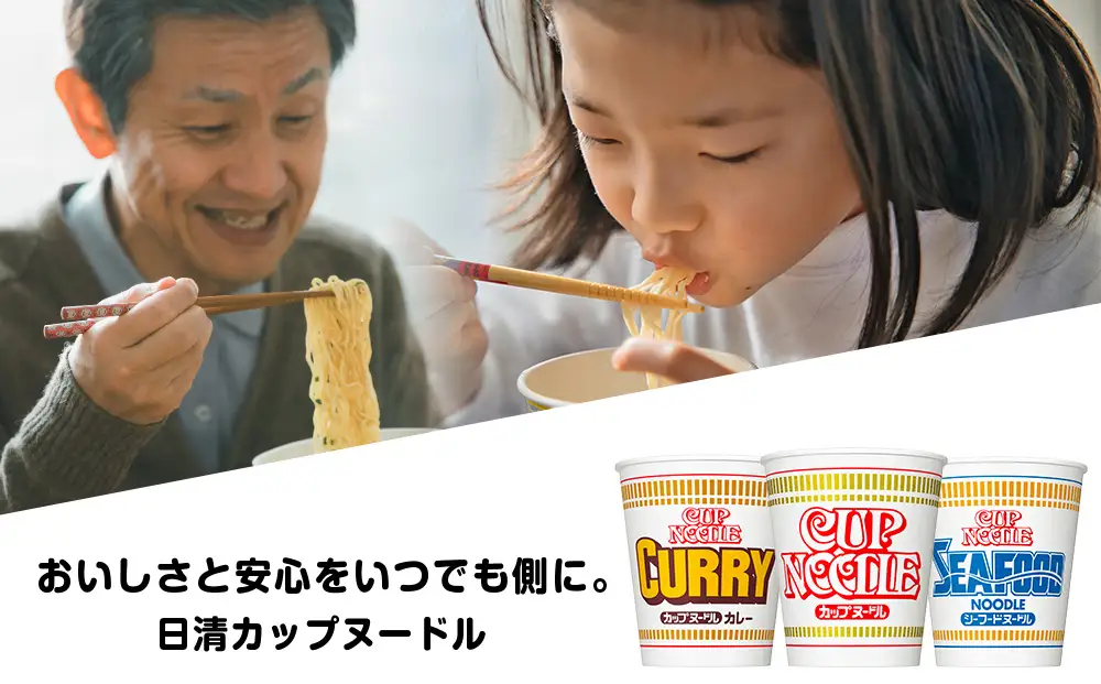 【定期便3か月】日清ヌードル3種セット 各1箱（20食）合計3箱