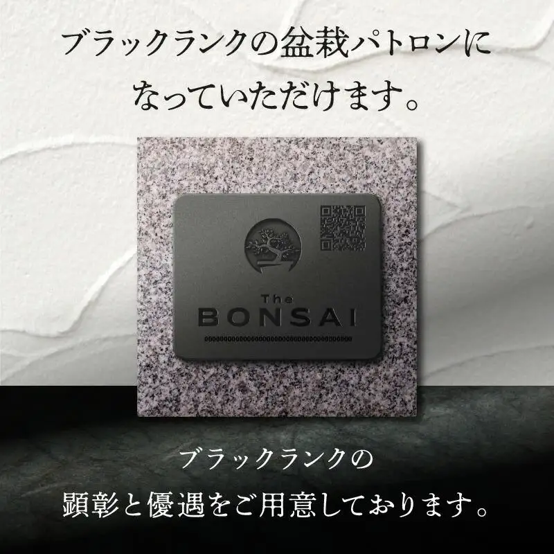 【ふるさと納税】盆栽パトロンNFT ブラックランク（デジタル商品・実物の盆栽は含まれません）