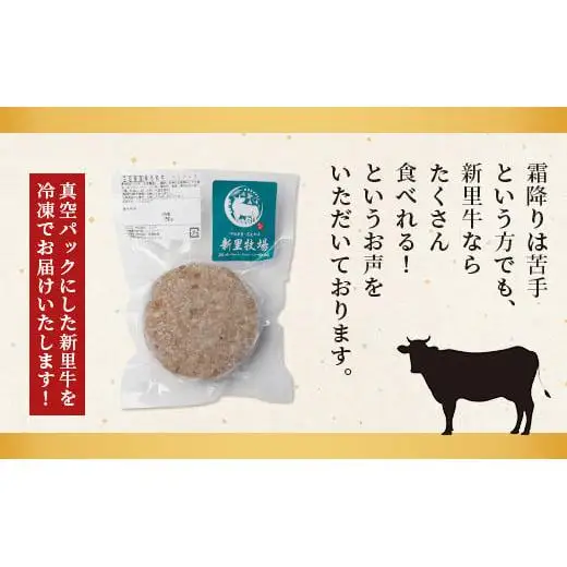 石垣島産 黒毛和牛 新里牛 職人手ごね生ハンバーグ (150g×6) 合計900g SZ-7
