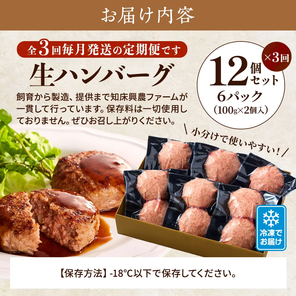 【毎月定期便】生ハンバーグ12個セット　冷凍 国産 牛肉 豚肉 ギフト 小分け 人気 全3回【配送不可地域：離島】【AC001】