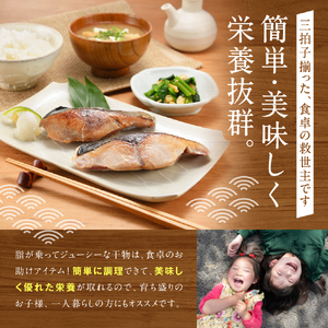 丸福水産・海鮮定期便（12回）｜ 干物 アジフライ 干物 定期便【Z070】