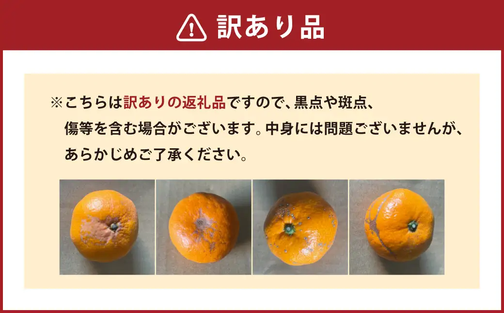 【規格外品】 みかん ご家庭用 約6kg サイズ不選別 蜜柑 ミカン フルーツ 果物 くだもの 柑橘 熊本産 九州産 【2026年10月下旬～2027年2月上旬迄発送予定】