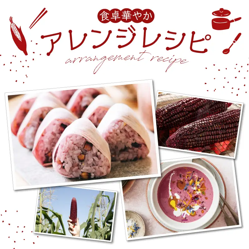 先行予約≪期間限定≫赤いスイートコーン大和ルージュ(約2kg) とうもろこし 野菜 国産_T003-0075